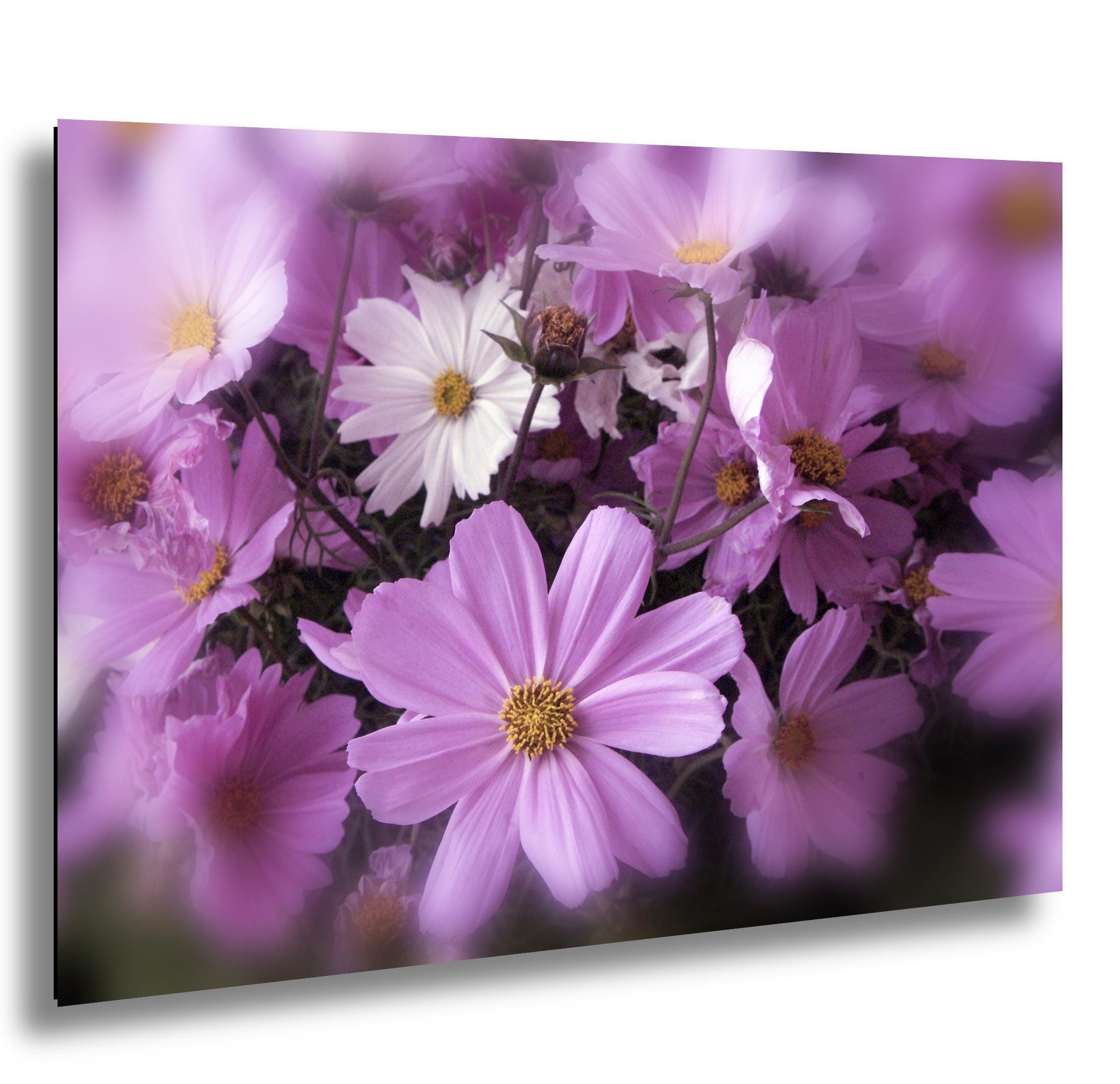 Floral Photography Print – Colorful Botanical Wall Art | Vibrant Flower Decor