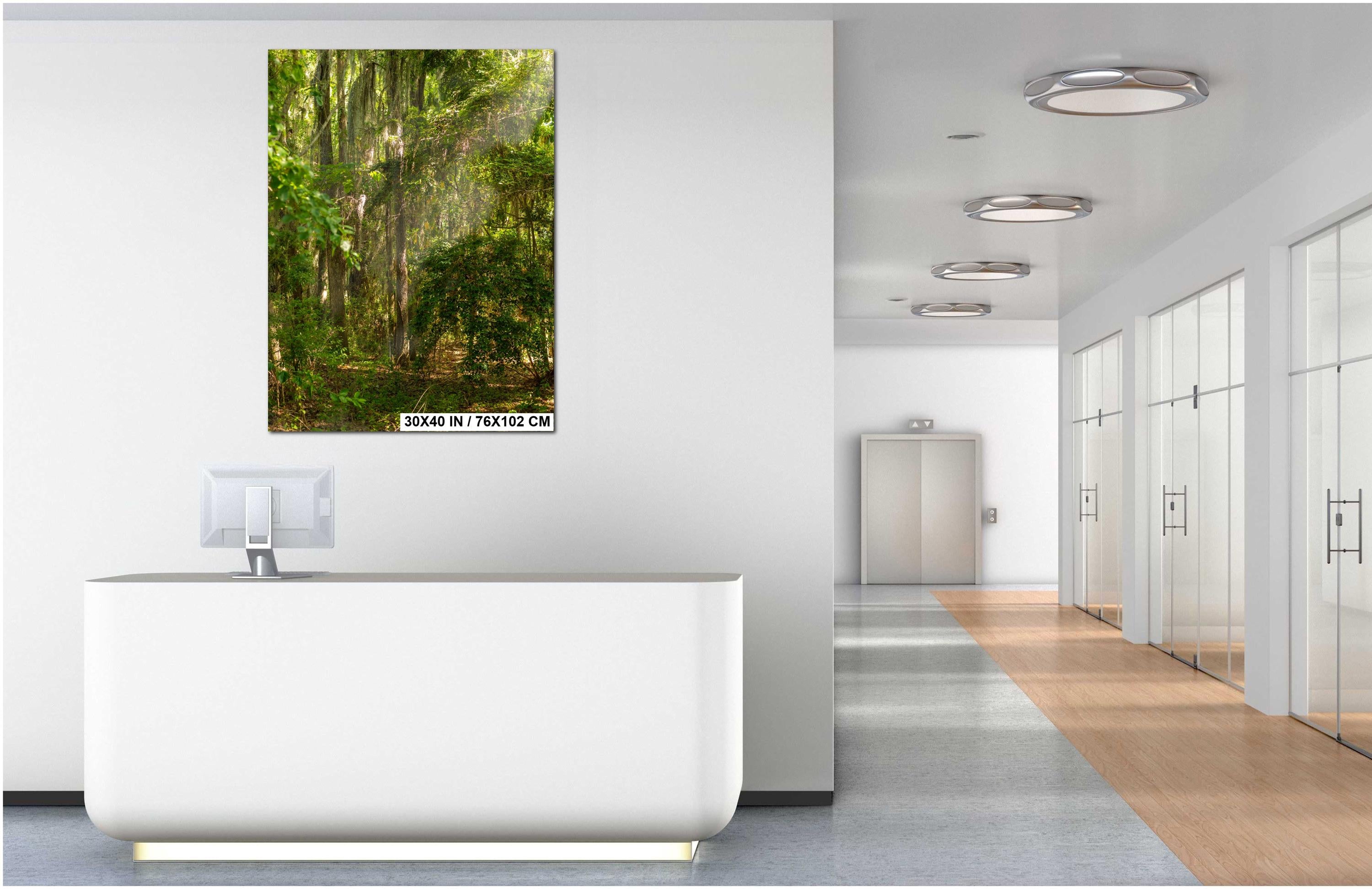 Savannah Wall Art | Coastal Georgia Art Print With Spanish Moss & Southern Charm